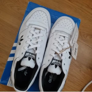 Helt nya Adidas forum bold - Helt oanvända nya adidas skor med prislapp och kartong kvar. Bara inte kommit till användning. Nypris 1200 kr. 