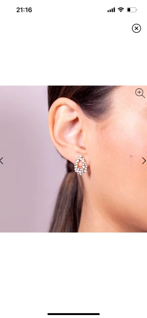 Lily and Rose örhängen - Så fina Lily and Rose örhängen som är helt oöppnade! Nypris 329kr🫶