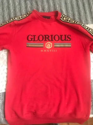 Glorious Gangsta tröja - Skön och fin Glorious Gangsta Tröja  Köpt från Zalando för nypris 700kr  Storlek S