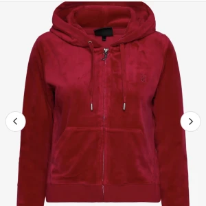 Juicy tröja - Säljer nu denna fina tröja då jag inte har någon användning för den! Nypris 1300 men säljer för 600 