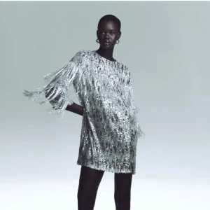 Klänning från Zara - Säljer nu denna ursnygga klänningen från zara. Den har paljetter och fransar samt knäppning i ryggen. Säljer då den tyvärr inte passade mig. Pris kan diskuteras✨🤍