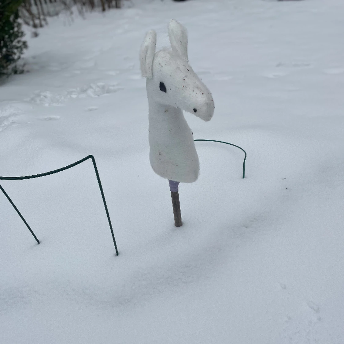 Vit käpphäst säljs 