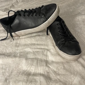 Skinnskor  - Fina skinnskor, sparsamt använda trots lite smutsiga