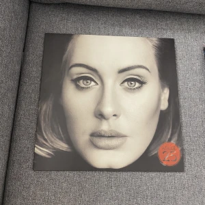 Adele Vinyl - Vinylskiva. Inga repor 🩶