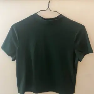 En mörkgrön, kort T-shirt med hög hals. Bara använd några gånger.  55% Polyester 45% Viskos  Normal i storleken.