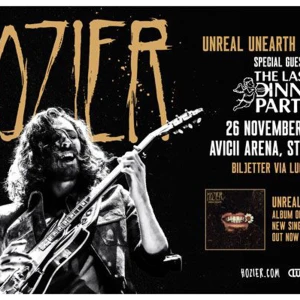 Hozier Stockholm 26/11 - Säljer två biljetter, sittplatser, till Hozier ikväll i Avicii arena (450kr styck)