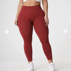 Nvgtn Solid Seamless - Nvgtn tights i modellen solid Seamless i färgen carmine (mörkröd) storlek S