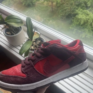 Nike SB dunk low Cherry - Använda några gånger men fina i skicket, köpta på Sold Out för 2700kr för någon månad sen! skriv för mer info och bilder💕