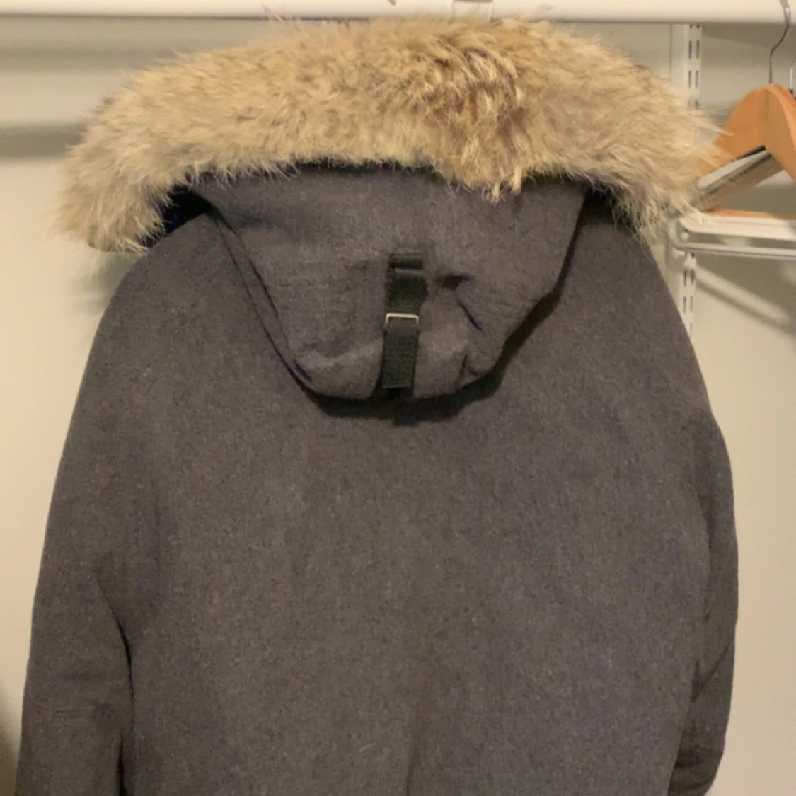 Canada goose chilliwack limited edition  - 90