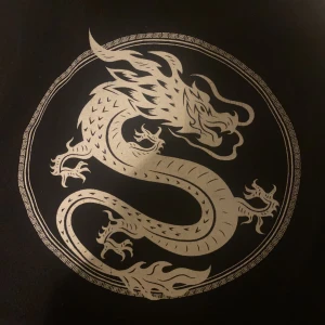 Drake croptop - Fint linne med tryck🖤 knappt använd! 