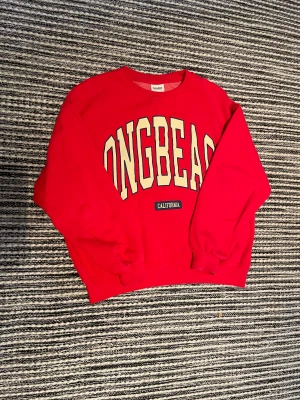 Tjockare långärmad tröja  - Tröjan är i väldigt fint skick.  Materiellt är skönt och mysigt och ärmarna är långa!!  