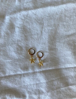 Öronhängen  - Så fina öronhängen!!💕💕