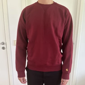 Carhartt WIP, Sweatshirt/tjocktröja - Storlek Large. Använd fåtal gånger.