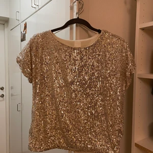 H & M Gold Sequined Top  - I wore this once for a gold themed dinner. Bought from H & M a year ago. Condition is perfect, practically new. It is a small but I would say it’s more a medium in terms of how it fits. 