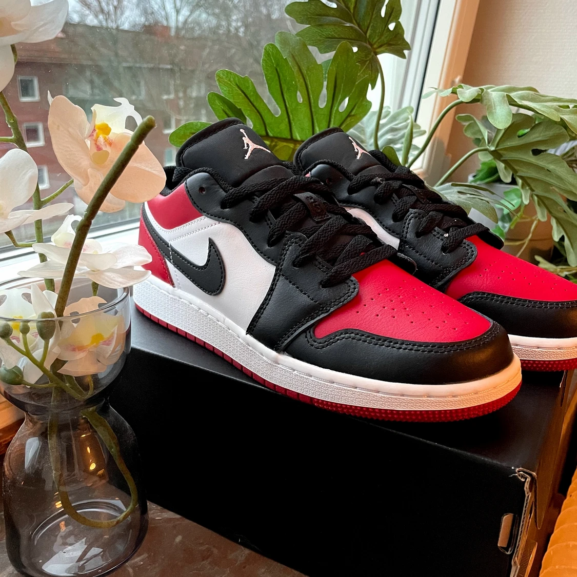 JORDAN LOWS - gym red