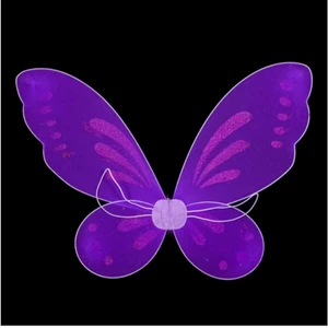 Vingar - Köpte dessa vingar till min halloween outfit, tror ej dom kommer användas igen därför säljer jag dom, köparen står för frakten 