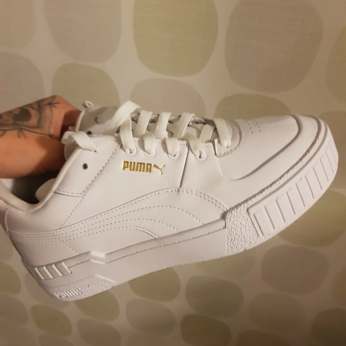 Nya puma cali