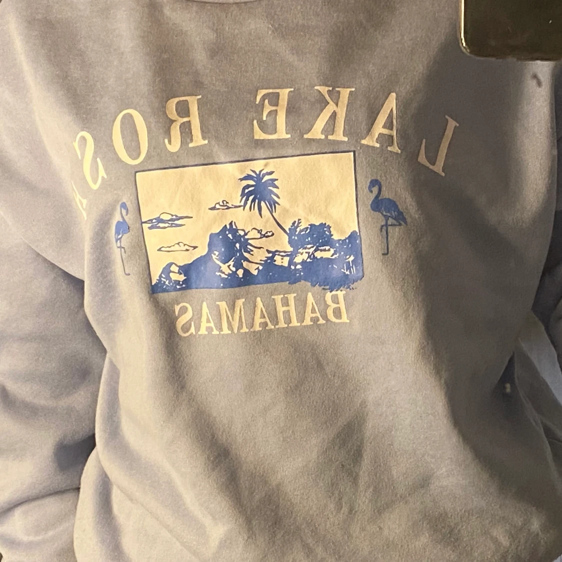 Blå sweatshirt