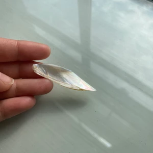 Pärlemor  - Pärlemor i nyskick direkt från Desert Design och är aldrig använd till någonting, har en massa andra annonser där jag säljer t.ex. smycken av pärlemor så om ni är intresserade kan ni gärna gå in och kolla! Vi kan fixa så att det blir ett hål i den om man hellre vill ha det som ett smycke men säg isåfall bara till var ni vill ha hålet:) köparen står för frakt 