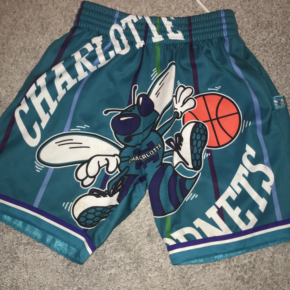 Charlotte Hornets shorts