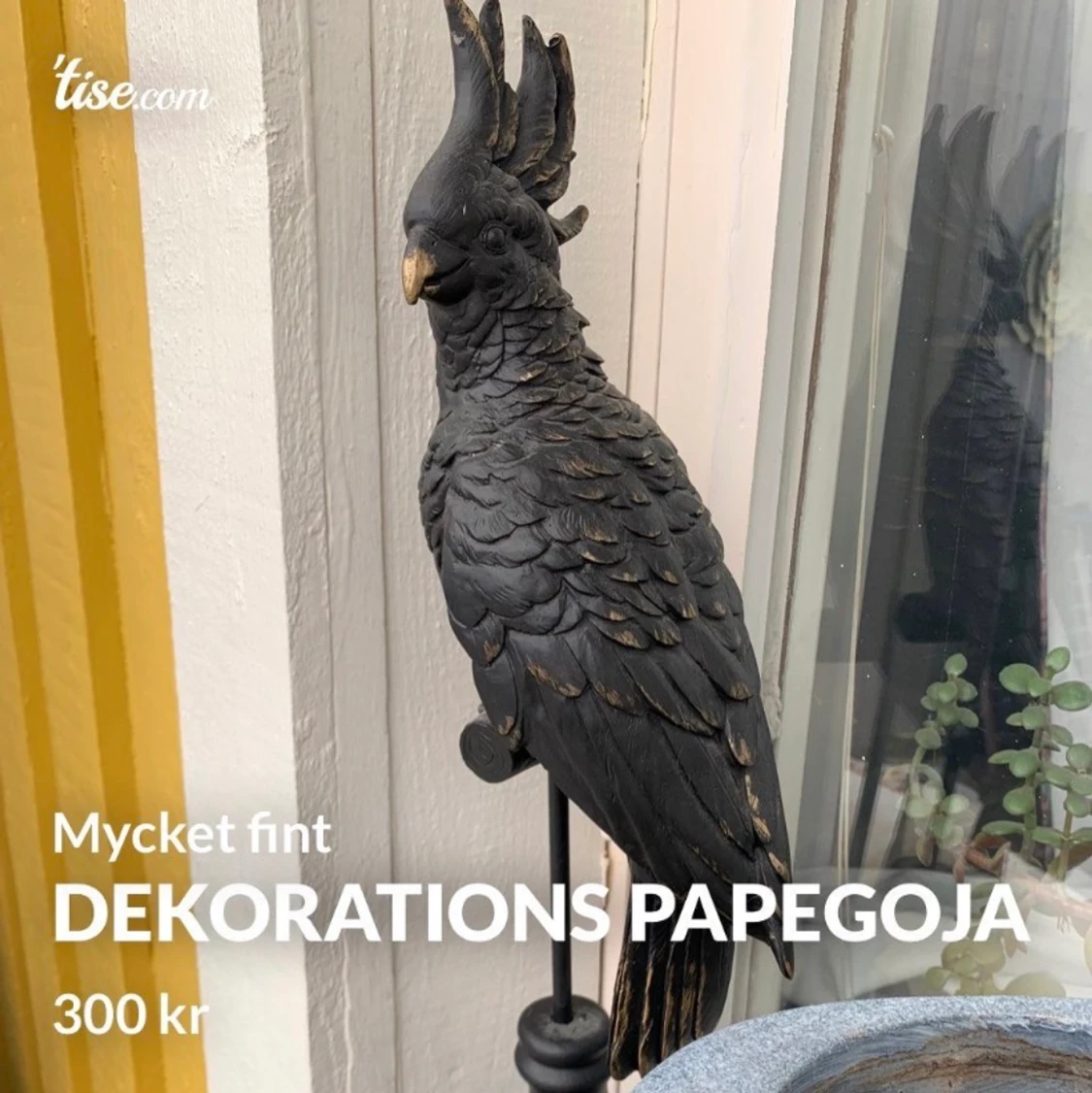 Dekorations papegoja