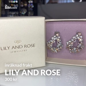 Lily and rose örhängen - helt nya och skickas i kartongen. Frakt inräknat i priset🤍 Först till kvarn, prioriterar snabbaste affären. Även upplagd på andra säljsidor så passa på!!