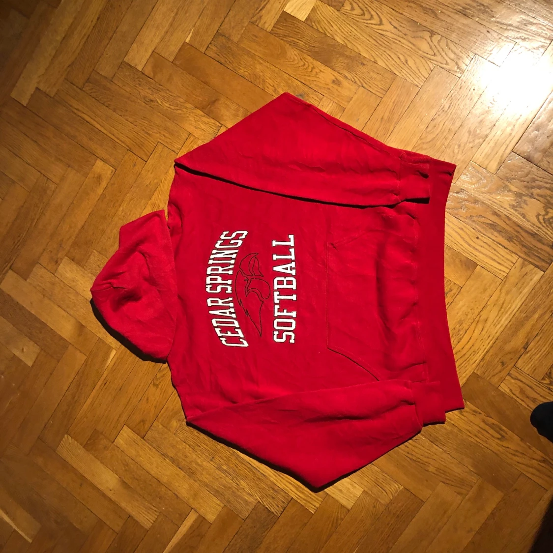 Cedar springs - Vintage hoodie