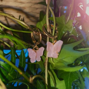 Fjärilsörhängen - Fina fjärilsörhängen som är helt oanvända och i fin kvalitet!✨ Säljs för 20kr+12kr frakt