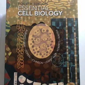 Kursbok cell biologi - Säljer min kursbok då jag har tagit examen. Mycket bra skick! Vi kör budgivning på denna, du betalar för frakten