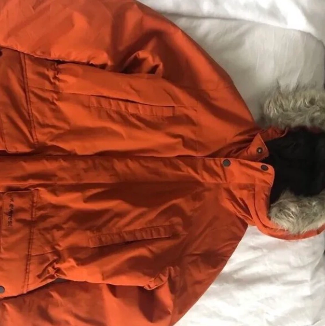 DOWN JACKET for 300. BRAND NEW!  - 91