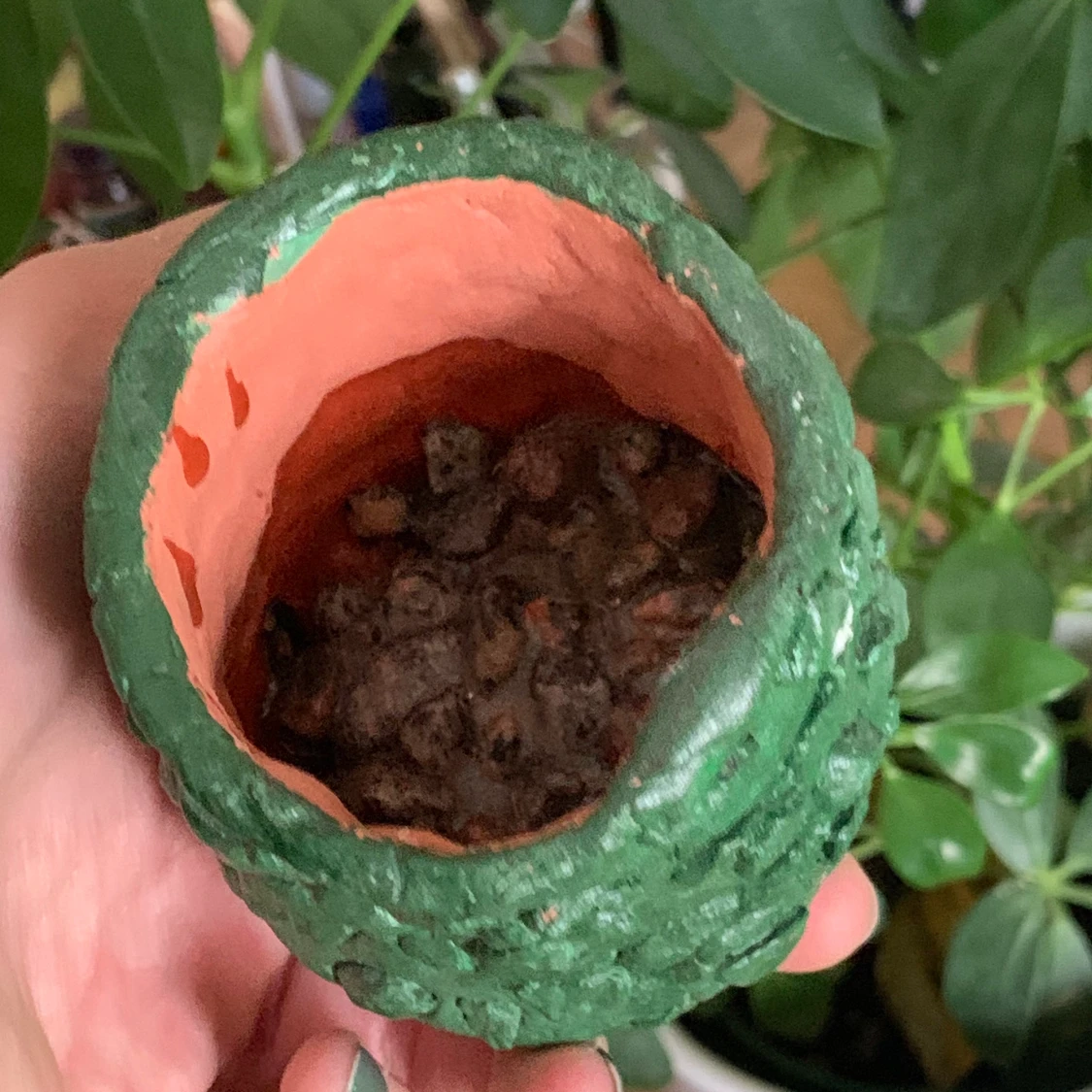 Konstig grön kruka - 91