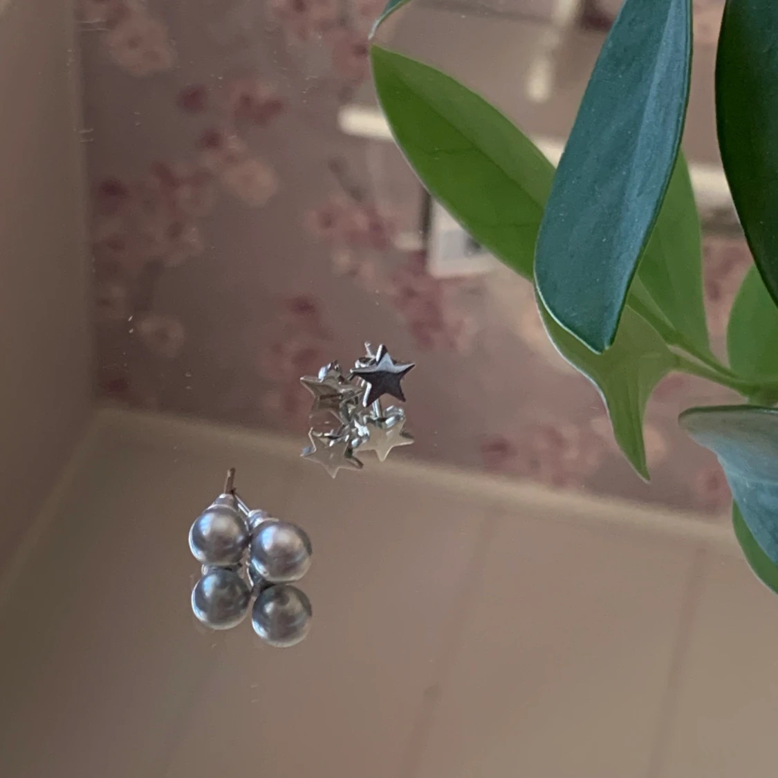 Två silvriga örhängen