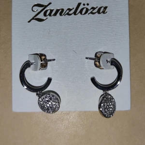 Örhängen - Helt nya örhängen köpta på glitter, nypris 199kr. 100kr + frakt står inte för postens slarv. 