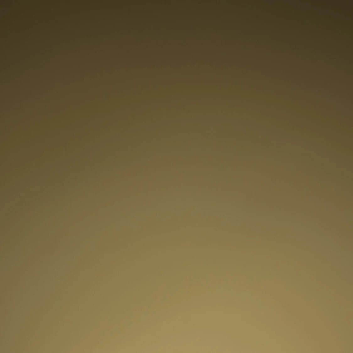 Fin tjock tröja, Gant i storlek S