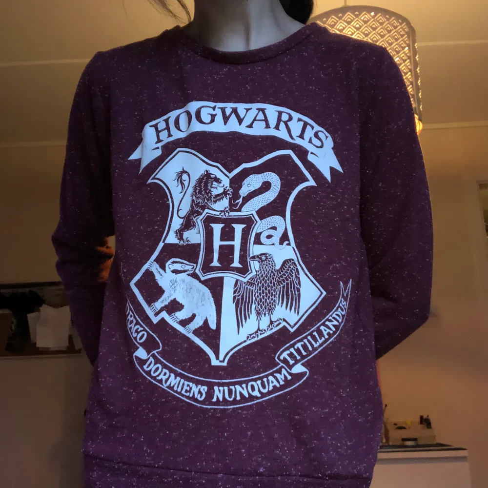 hogwarts tröja köpt på primark i london, var från början del av ett pyjamas-set! använd ett fåtal gånger men i nyskick 💓 pris 150 kr + frakt!. Hoodies.