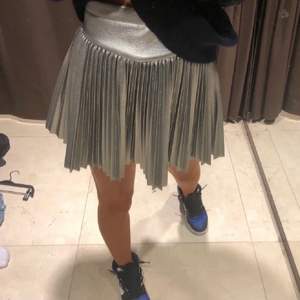 Silvrig kjol från zara! (lånad första bild)