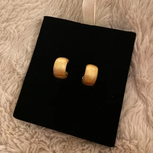 Chunky guldiga örhängen från MULIs julkalender 2024 - Snygga chunky örhängen i bågform med matt guldig finish. De är stilrena och har en bred design. Aldrig använt då dom inte är min stil. Nypris är 499kr från MULIs hemsida. 