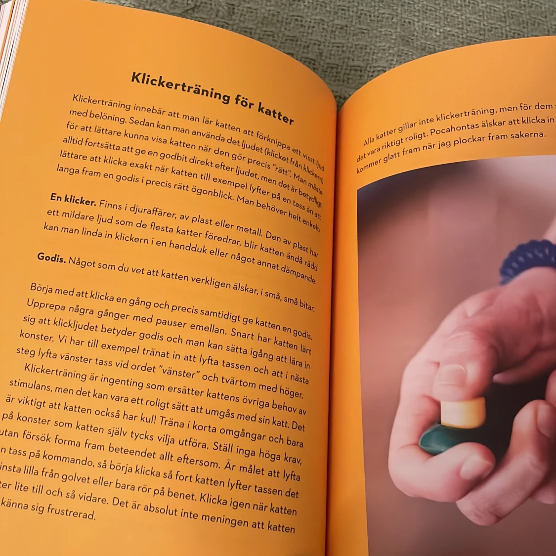 Katt och människa emellan - 2