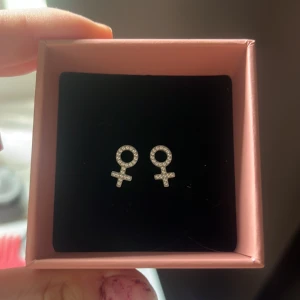 Silvriga örhängen med kvinnosymbol - Snygga silvriga örhängen i form av kvinnosymboler, dekorerade med små glittrande stenar, från edblad 💕