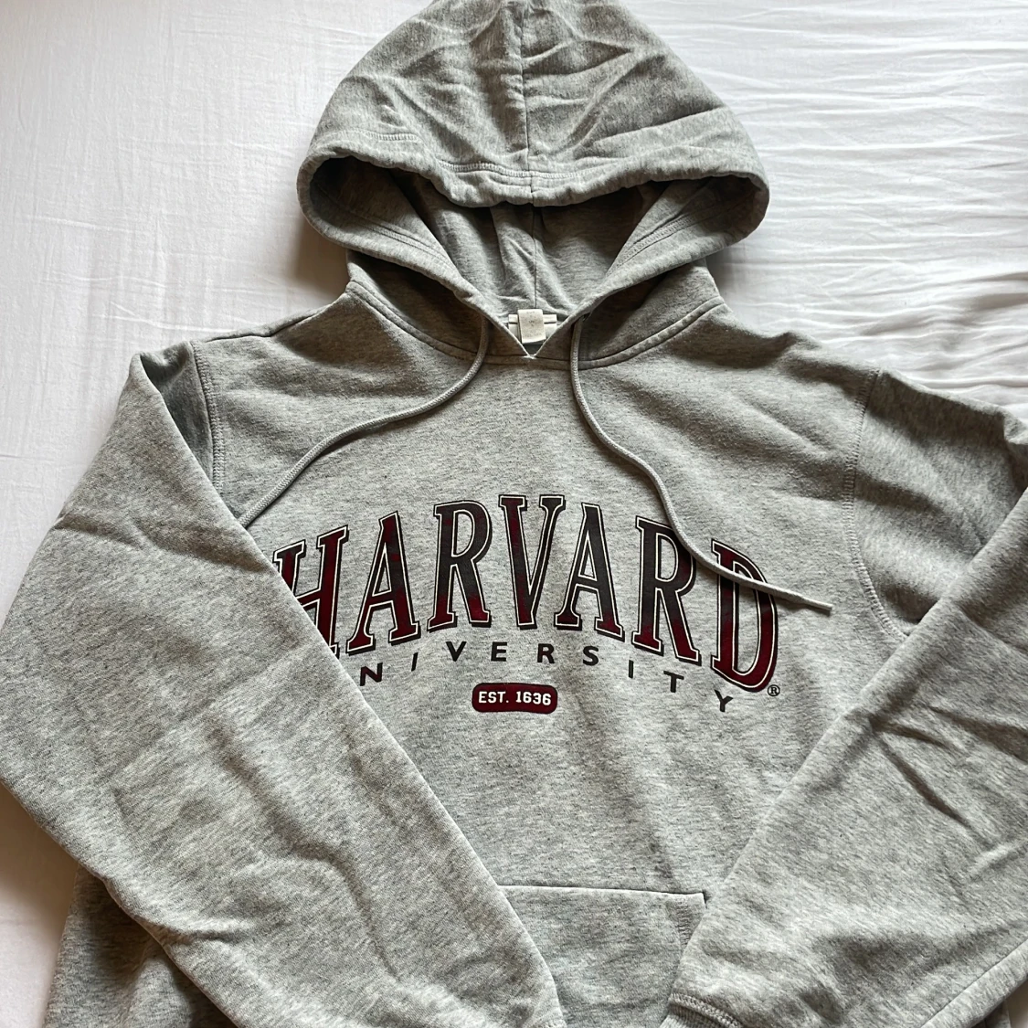 Grå Harvard hoodie med tryck