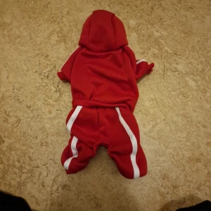 Röd hoodie-overall flr hund - Röd hoodie-overall med vita knappar och vita ränder längs benen. Tröjan har huva och långa ärmar samt ben, perfekt för en sportig look. Mjuk och bekväm med ribbade muddar.