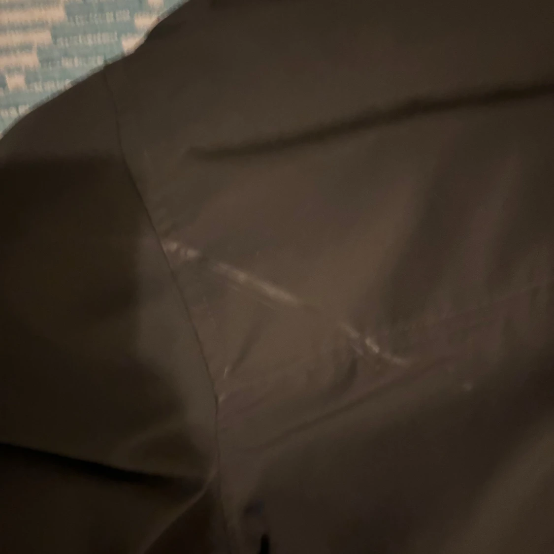 Canada goose maitland  - 3