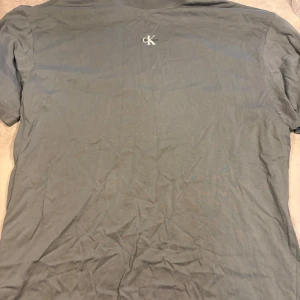 Grå t-shirt från Calvin Klein Jeans - Snygg grå t-shirt från Calvin Klein Jeans med klassisk CK-logga tryckt på bröstet. T-shirten har rund hals och korta ärmar, tillverkad i mjuk bomull som känns skön mot huden. Perfekt för dig som gillar stilrena och enkla plagg med en touch av designer.