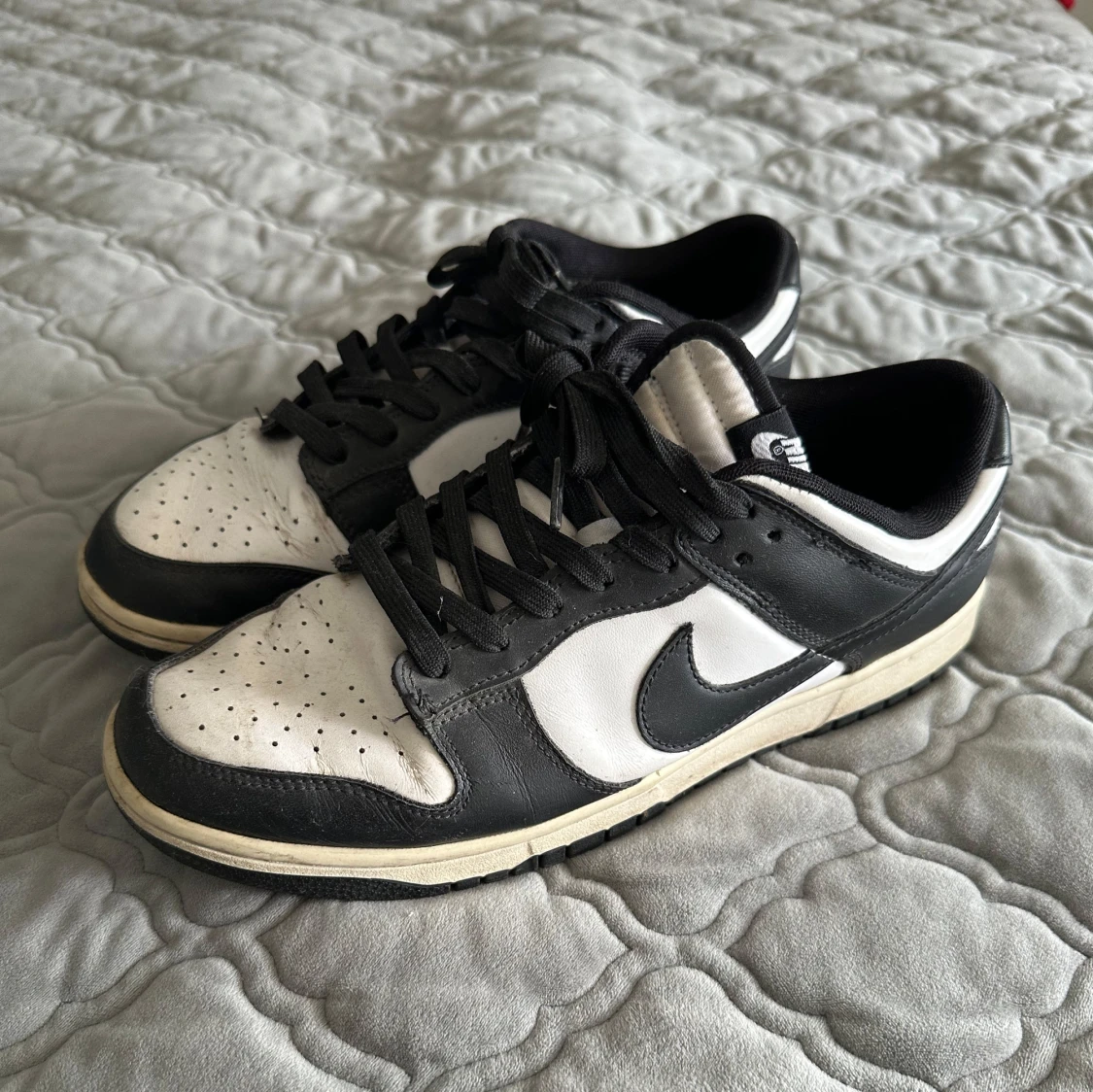 Nike Dunks