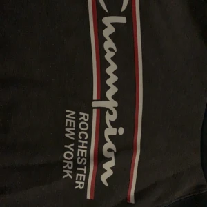 Grå hoodie från Champion - Säljer en grå hoodie från Champion med tryck 'Rochester New York' i vitt och rött. Tröjan har en klassisk design med känguruficka och långa ärmar. Perfekt för en avslappnad stil.