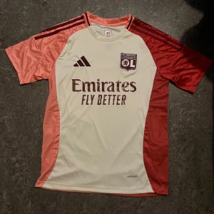 Lyon tröja - En skön lyon fotbollströja i storlek S aldrig använt och i prrfekt skick