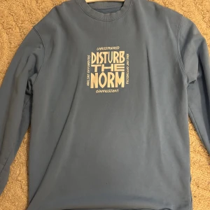 Blå sweatshirt från Vailent med tryck - Säljer en blå sweatshirt från Vailent i storlek M med stort grafiskt tryck 'Disturb The Norm' både fram och bak. Tröjan har rund hals och långa ärmar, tillverkad i mjuk bomull. Perfekt för dig som gillar streetwear och statement-plagg.