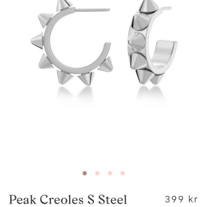 Silvriga örhängen med nitar - Super snygg säljer även dom i mindre och en ring 