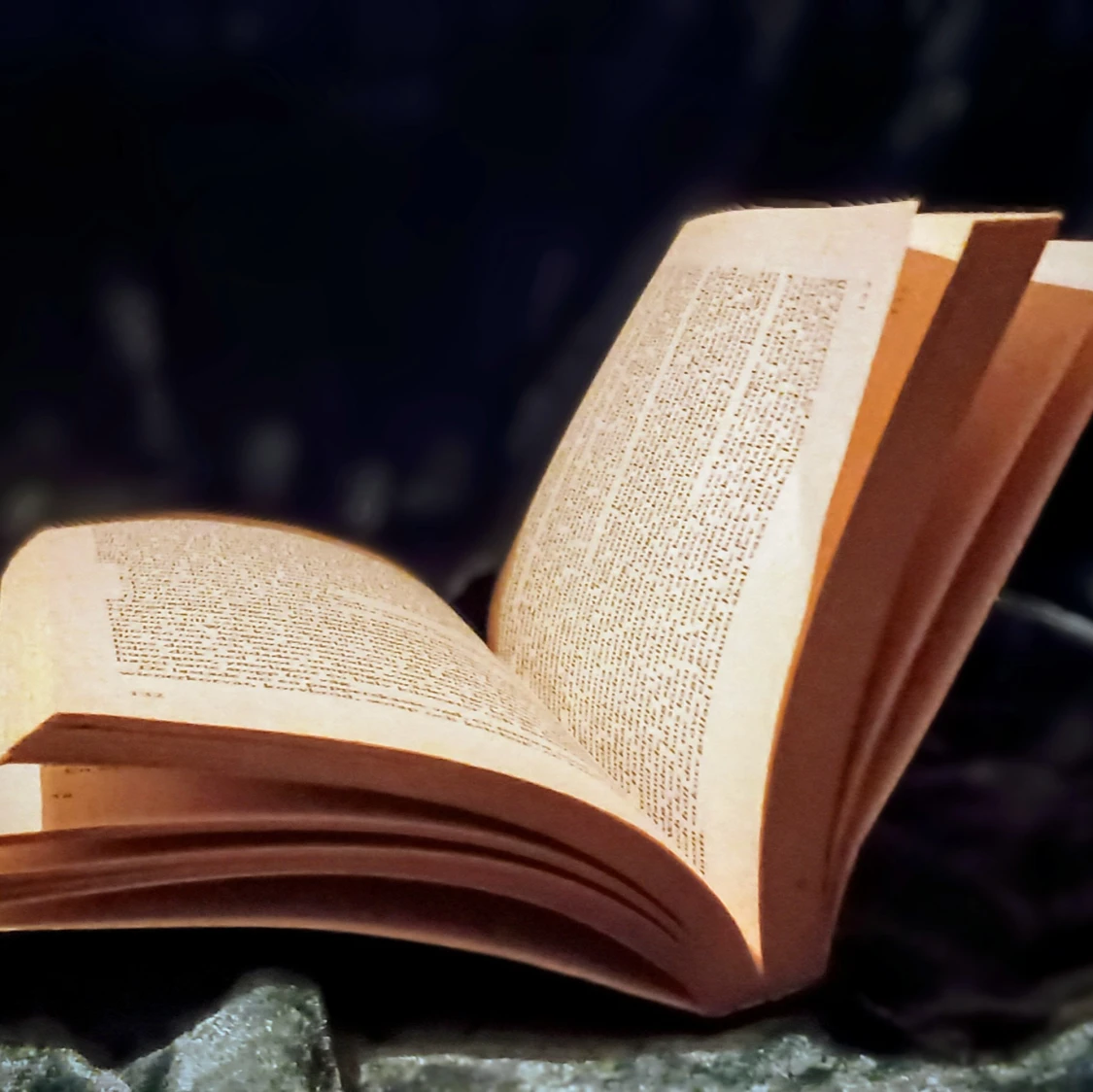 Gå ut min själ av Åke Edwardson - 4