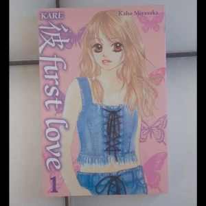 Kare First Love 1 - Manga-serien 'Kare First Love' av Kaho Miyasaka handlar om Karin Karino, en blyg tjej som går på en flickskola. Hon möter Kiriya, en kille som förändrar hennes liv. Boken utforskar teman som kärlek och vänskap i tonåren.